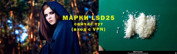 прущие грибы Горнозаводск