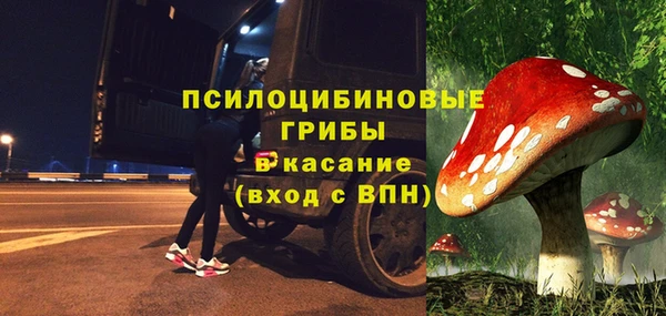 эйфоретик Горняк