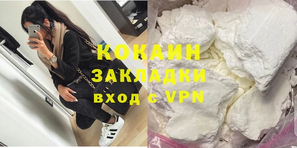 прущие грибы Горнозаводск
