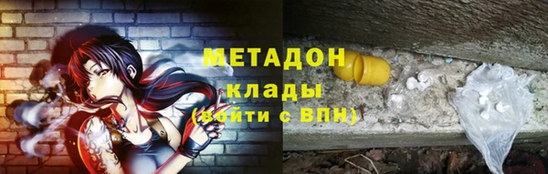 прущие грибы Горнозаводск
