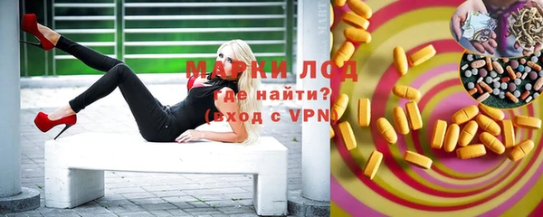 ECSTASY Гусев