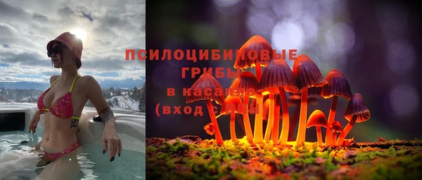 эйфоретик Горняк