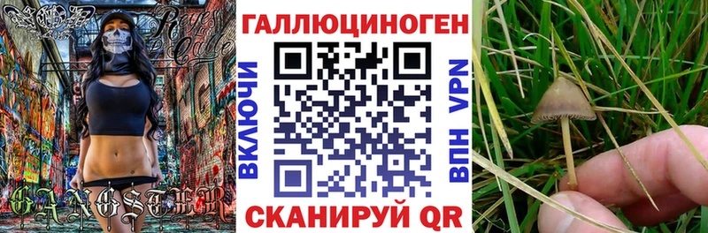 Галлюциногенные грибы Psilocybine cubensis  Купить где  Пудож 